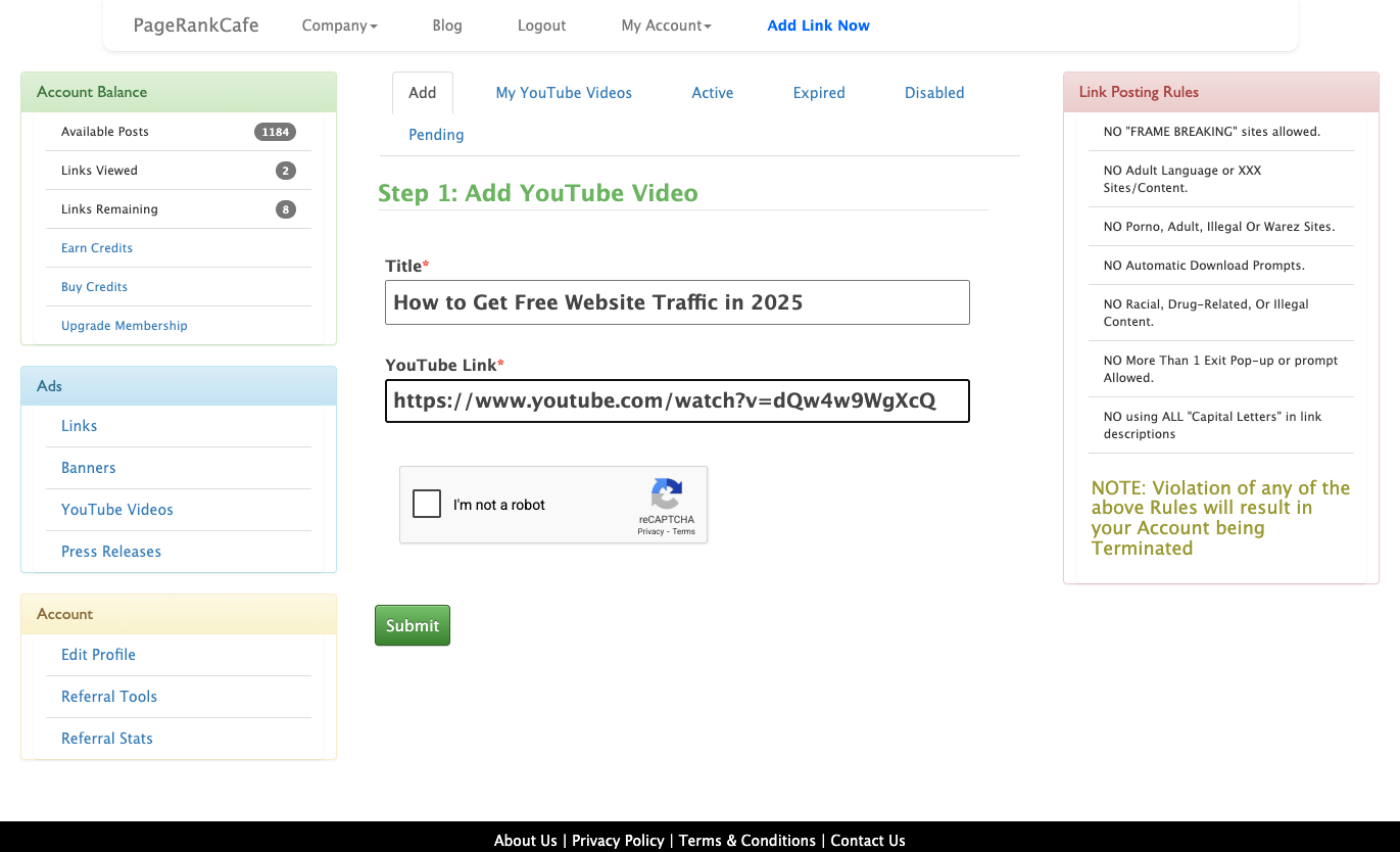 Form filled with video details